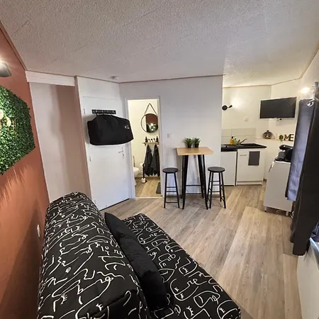 A Cote De La Gare Appartement Thiers Buitenkant foto